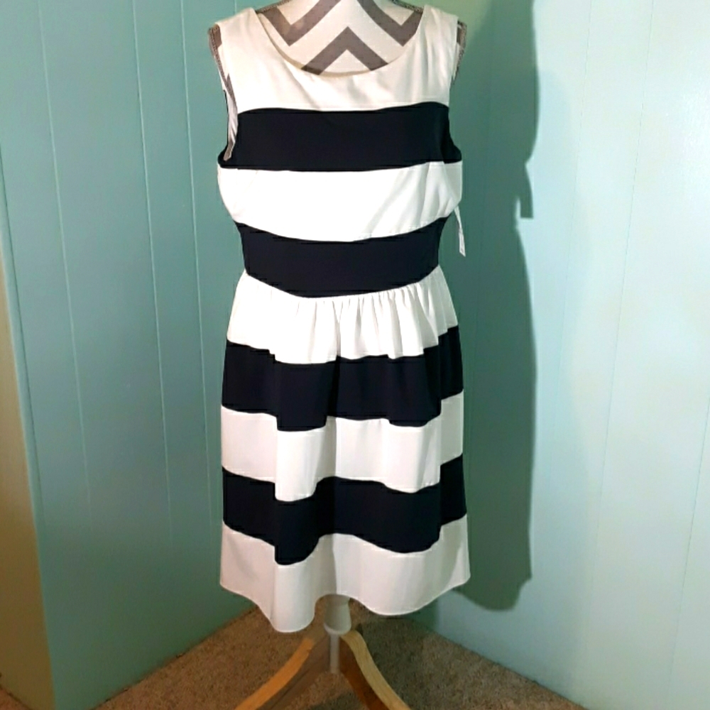 NWT Dress Barn Dress